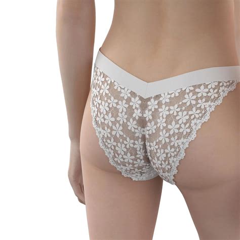 Panties Lace Fancy Women Panties Mid Rise Floral Underwear Transparent