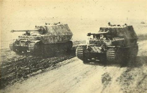 Fuehrerbefehl Original Photo Of Two Ferdinand Tank Destroyers At Kursk