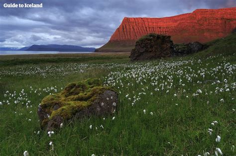 The Complete Guide To The Midnight Sun In Iceland Guide To Iceland