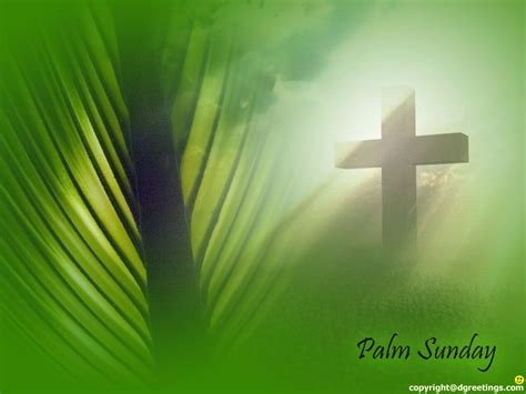 Palm Sunday Wallpapers Palm Sunday Happy Palm Sunday Sunday Wishes