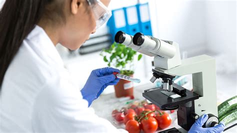 How To Become A Food Scientist Career Girls Explore Careers
