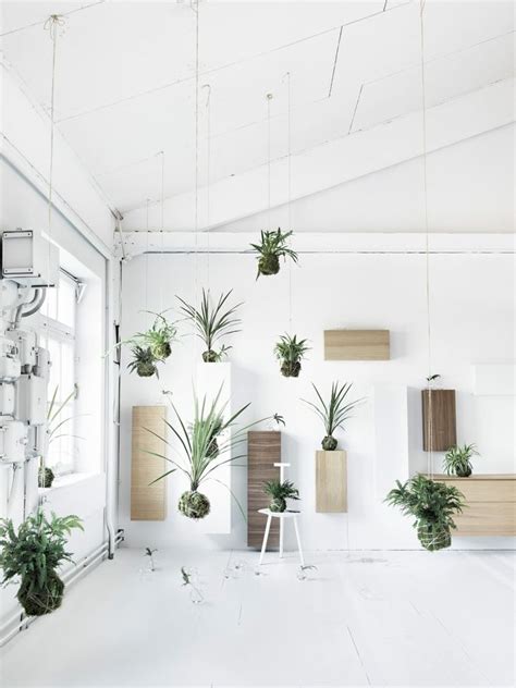 Un experimento divertido ideal para cosechar tomates en casa con los mas pequeños. Kokedamas minimalistas | Jardines colgantes, Plantas colgantes, Decoración de unas
