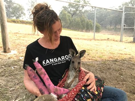 What it's like working with wildlife rescued from Australia's deadly ...
