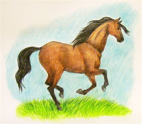 Рисунки лошадей для срисовки поэтапно 70 фото