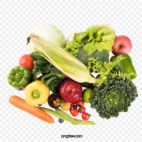 Fresh Vegetable White Transparent Healthy Green Fresh Vegetables And