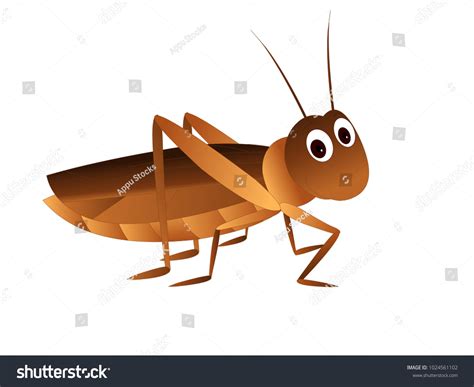 Brown Cricket Cartoon Vector Image 库存矢量图（免版税）1024561102 Shutterstock