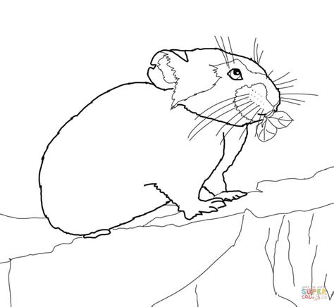Pika Coloring Page Free Printable Coloring Pages