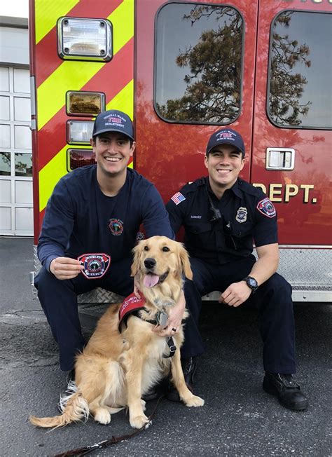 Sweet Therapy Dog Offers Much Needed Relief To Firefighters Battling