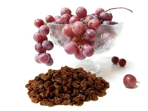 Grapes Raisins All Pet News