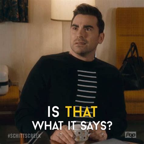 pop tv by schitt s creek find and share on giphy schitts creek funny shows creek