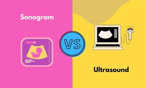 Sonogram Vs Ultrasound Whats The Difference With Table Diffzy