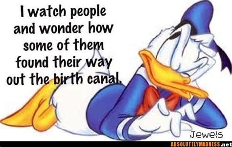 Funmozar Donald Duck Quotes Funny Quotes Duck Quotes Funny Birth