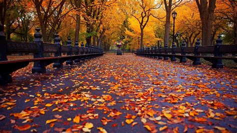 Autumn Aesthetic Laptop Wallpapers Top Free Autumn Aesthetic Laptop