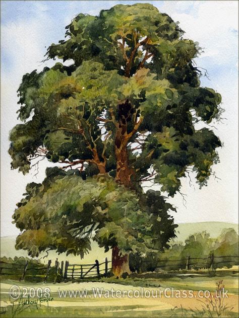 Watercolor Painting Of Trees Watercolour Click For The Larger One Acuarela Pa Tree