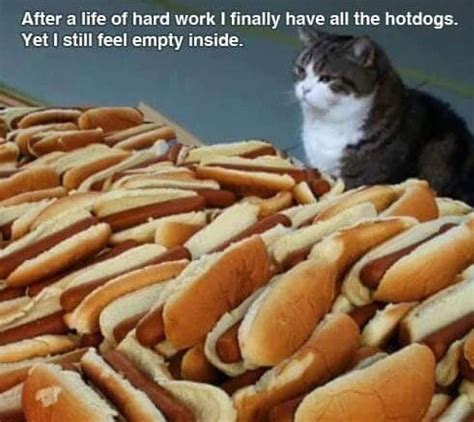 After A Life Of Hard Work I Finally Have All The Hotdogs Yet I Still