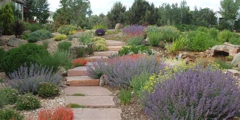 Photo Landscaping Network Xeriscape Landscaping Drought Resistant