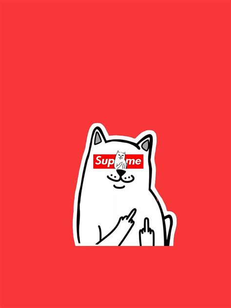 Supreme Cat Middle Finger Supreme Hd Phone Wallpaper Pxfuel