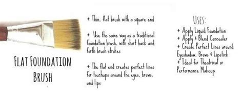 The Ultimate Makeup Brush Guide For Dummies Viva La Vibes Makeup