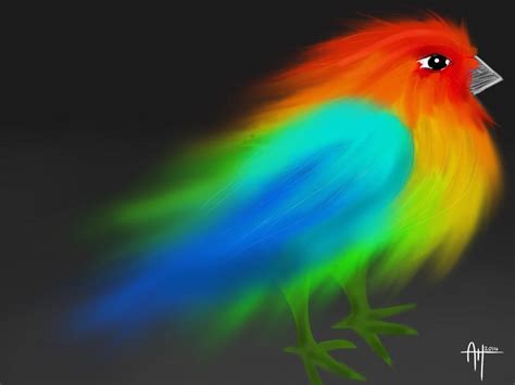 2 Rainbow Bird By Aydaze On Deviantart