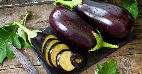 10 types of eggplant different varieties