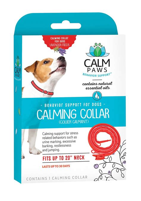 Calming Products For Dogs Afraid Of Fireworks