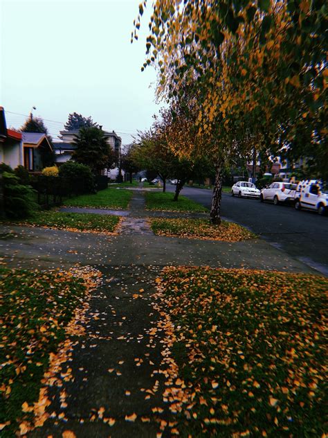 Autumn street. | Autumn magic, Autumn aesthetic, Autumn scenes