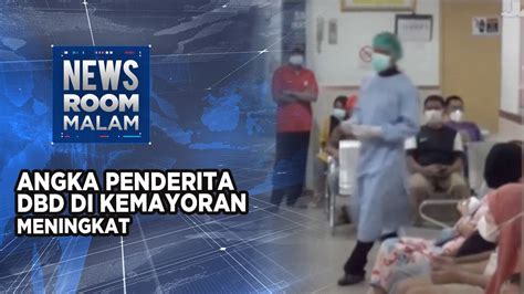 Angka Penderita Dbd Di Kemayoran Meningkat Jaktvofficial Vidio