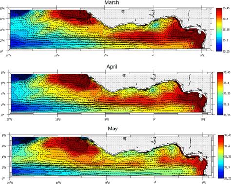 Maps Of Monthly Salinity Psu Averaged Between 150 And 250 M Depth For