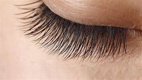 how to grow long thick healthy lashes fast guaranteed longer eyelashes youtube