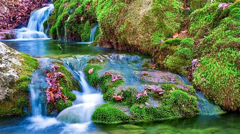 Beautiful Scenery Waterfalls On Green Algae Covered Rocks In Forest