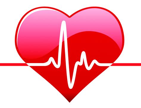 Ecg Heart Rate Png Image Purepng Free Transparent Cc Png Image