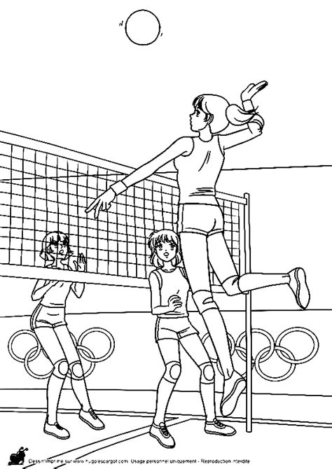 Volleyball Coloring Pages Free Printable Coloring Pages