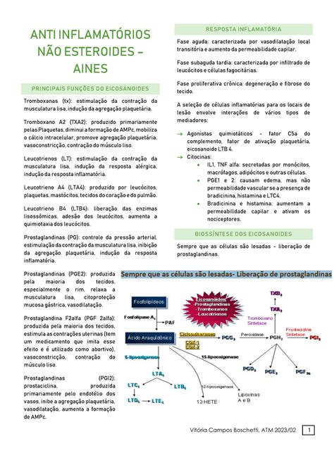 Aines Atualizado Mecanismos De Ação Dos Anti Inflamatórios Não