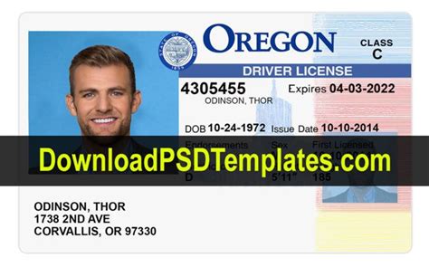 Downloadable Blank Georgia Drivers License Template Discomeva