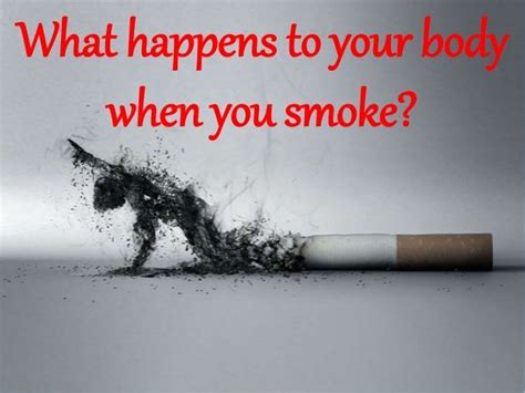 What Happens To Your Body When You Smoke