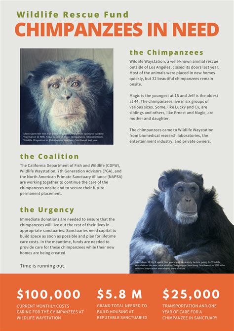 Chimpanzees In Need Primate Sanctuaries