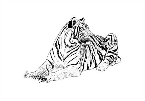 Printable Coloring Pages Realistic Flying Tiger Coloring Pages