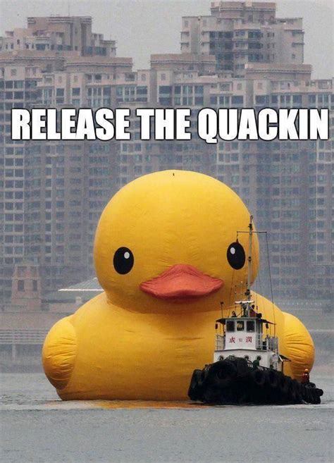 Release The Quackin Comediva