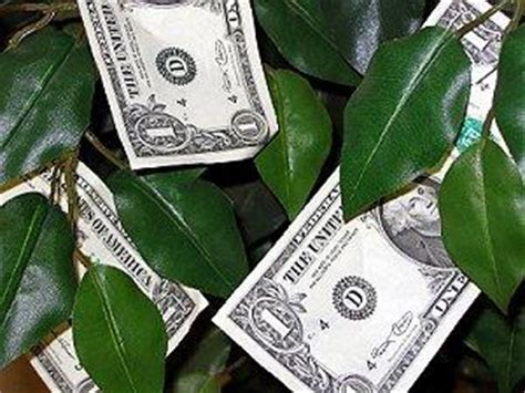 A money tree is a great gift idea for a wedding, baby shower, graduation party, birthday, or any other event where you want to give a uniqu. Guide to Wedding Money Trees | LoveToKnow
