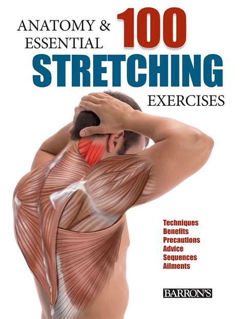 There are around 650 skeletal muscles within the typical human body. Anatomy and 100 Essential Stretching Exercises | Book by Guillermo Seijas Albir | Official ...