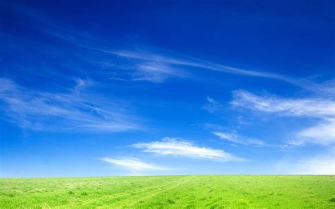 Blue Sky And Green Grass Wallpapers Hd Wallpapers Id