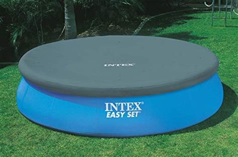 Intex 18′ X 48″ Easy Set Pool With Pump And Kokido Telsa 10 Handheld