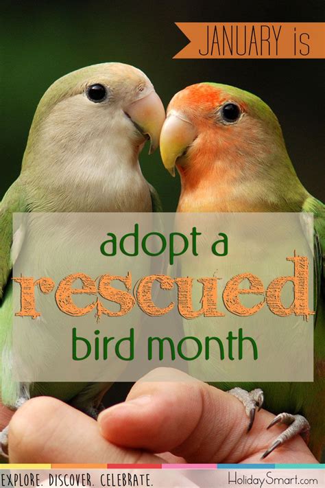 Open Configuration Options Adopt A Rescued Bird Month Open Primary Tabs