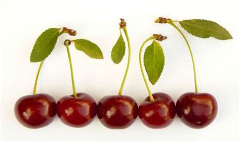Top 10 Facts About Cherries Uk