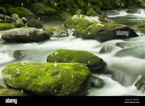 Moss By The Stream Hi Res Stock Photography And Images Alamy