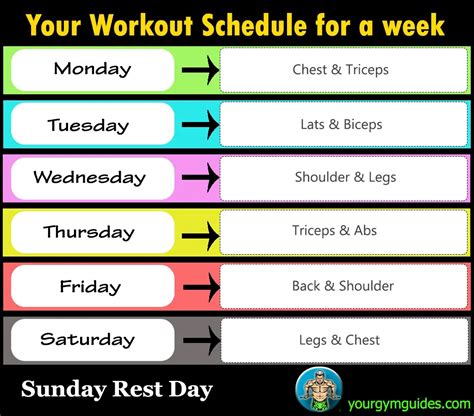 Full Week Workout Plan At Gym Health Gym Guide