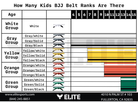 A Detailed Guide To The Kids Jiu Jitsu Belts Ranking System 2023