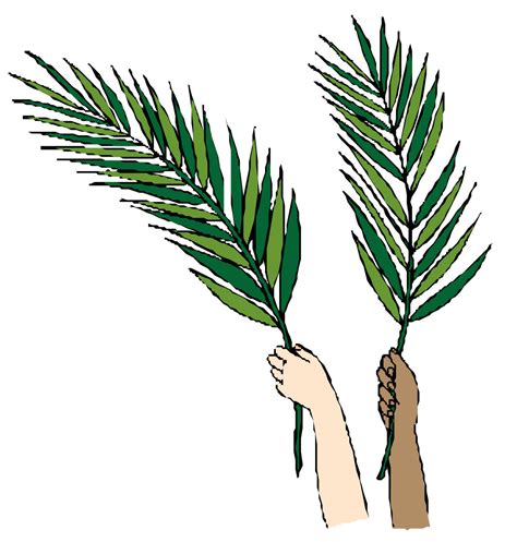 0 Images About Palm Sunday On Sunday Palms Cliparts Clipartix