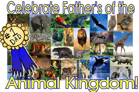 Wild And Wonderful Fathers Of The Animal Kingdom