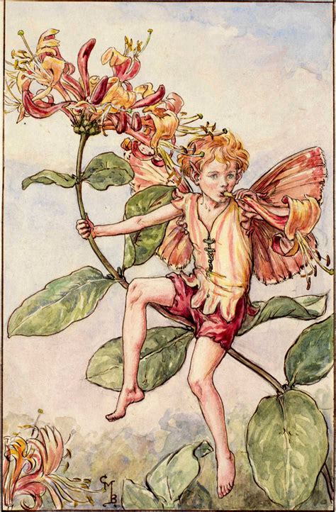 The Honeysuckle Fairy Flower Fairies